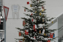 11-2010 Weihnachtsbaum